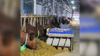 Фотография к новости: Қазақстанның сүт-тауар фермалары роботтарды белсенді пайдалануда