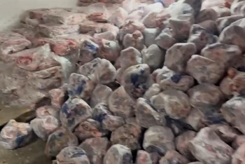 Фотография к новости: Астанада полиция тәркілеген етті жануарлар паналау орнына табыстады