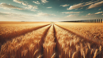 Фотография к новости: Соңғы үш жылда мемлекетке 12 млн гектар жер қайтарылды