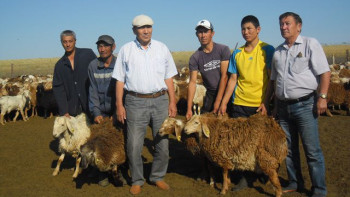 Фотография к новости: Ақтөбелік шаруа: Табанды еңбектің арқасында көп жетістікке жеттім