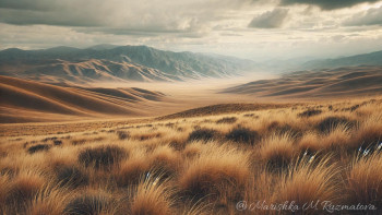 Фотография к новости: Жайылым жер дауы: ауыл халқының мәселесі қалай шешілмек?