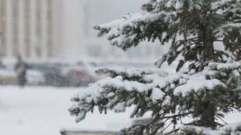 Фотография к новости: 14 өңірде дауылды ескерту жарияланды