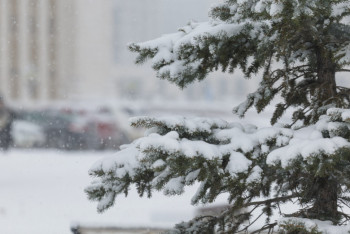 14 өңірде дауылды ескерту жарияланды