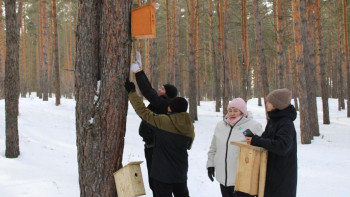 Фотография к новости: Абай облысында "Орманымызды сақтаймыз" атты экологиялық акция өтті