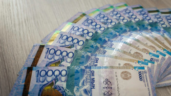 Фотография к новости: Тоқаев малшылар мен фермерлерге арзан несие беруді ұсынды