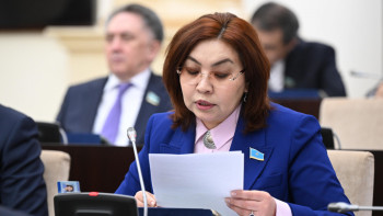 Фотография к новости: Сапалы инвестиция - ел экономикасының драйвері – Бибігүл Жексенбай