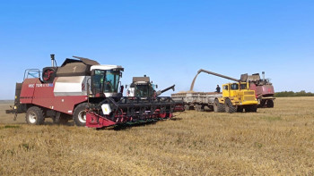 Фотография к новости: Елімізде 2 мыңға жуық астық өндірушіге қолдау көрсетілді