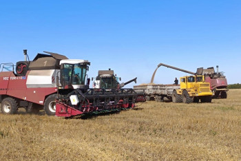 Фотография к новости: Елімізде 2 мыңға жуық астық өндірушіге қолдау көрсетілді