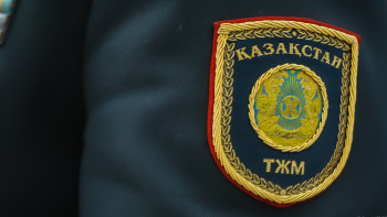 Фотография к новости: ТЖМ құтқарушылары өрттің таралуына жол бермеді