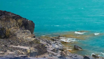 Фотография к новости: Министрлік су ресурстары бойынша ақпараттық жүйе әзірлеуді жоспарлап отыр