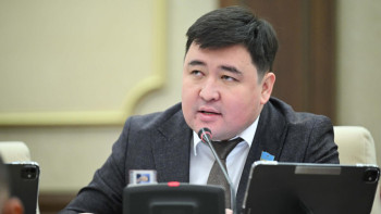 Фотография к новости: Депутат көлікті жылытуға 5 минут бермес бұрын зауыттарды тәртіпке келтіруді шақырды