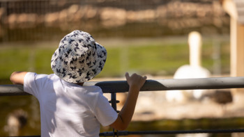 Фотография к новости: Мүгедектігі бар баланы тәрбиелеп отырған ата-анаға қанша теңге төленеді