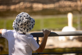 Фотография к новости: Мүгедектігі бар баланы тәрбиелеп отырған ата-анаға қанша теңге төленеді