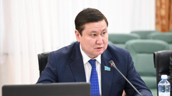 Фотография к новости: Сенатор: Экономиканы дамыту үшін тері мен жүнді қайта өңдеуді дамыту маңызды