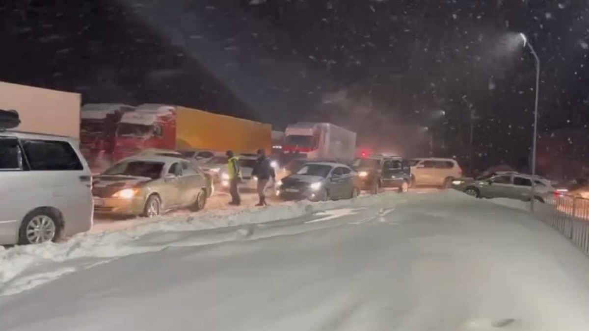  видеодан кадр