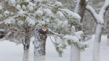 Фотография к новости: Қар, көктайғақ: Бірнеше өңірде дауылды ескерту жарияланды