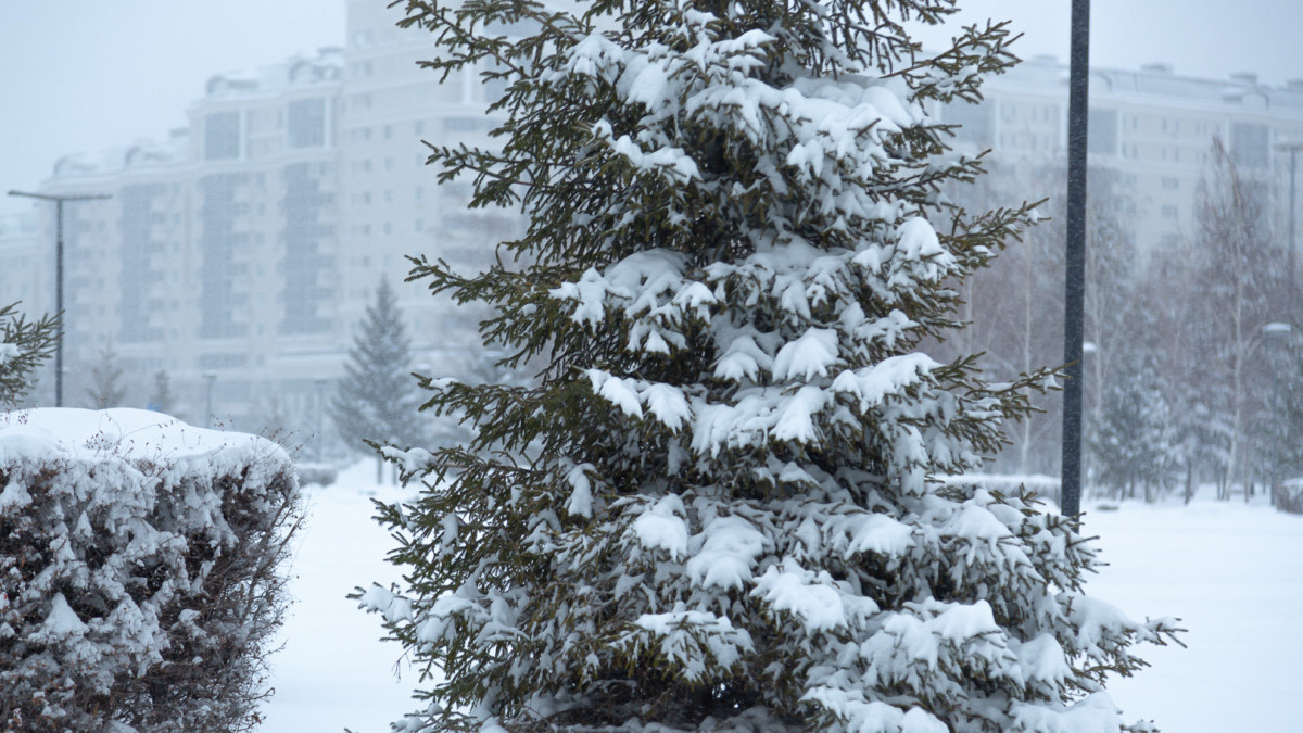  Жалғасбек ТОҚТАМЫСОВ  -архив