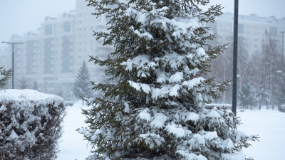 Бірнеше өңірде қар аралас жаңбыр жауады