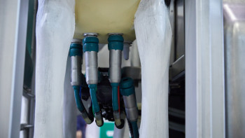 Фотография к новости: Қазақстандық сүт өндірушілер біліктіліктерін жетілдіреді