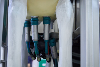 Фотография к новости: Қазақстандық сүт өндірушілер біліктіліктерін жетілдіреді