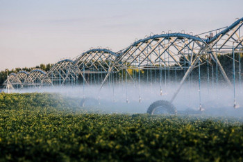 Фотография к новости: Қазақстан шаруалары 158 мың гектар жерге су үнемдеу технологияларын енгізді