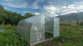 Фотография к новости: Биыл ауыл шаруашылығында 250-ге жуық ірі инвестициялық жоба жүзеге асырылады