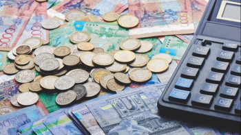 Фотография к новости: 3 млн адам кездейсоқ табыс көздеріне сүйеніп өмір сүреді. Депутат елдегі жұмыссыздық туралы айтты