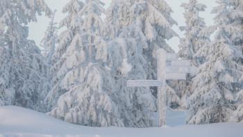 Фотография к новости: Жапонияда рекордтық мөлшерде қар жауды