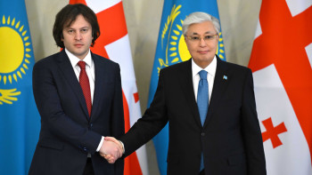 Фотография к новости: Мемлекет басшысы Грузия премьер-министрімен кездесті