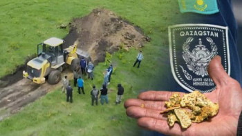 Фотография к новости: Алтынды заңсыз өндіргені үшін жауапқа тартылды