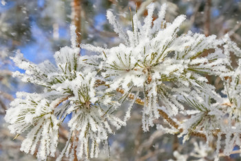 Фотография к новости: Қар, тұман, көктайғақ: Жұмаға арналған ауа райы болжамы