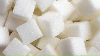 Фотография к новости: Атырауда қуаты 144 мың тонна болатын қант зауыты салынады