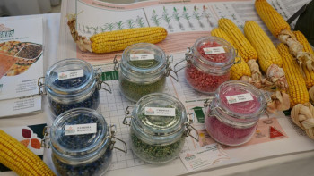 Фотография к новости: Көкшетауда «Тұқым-2025» тұқым күні өтті