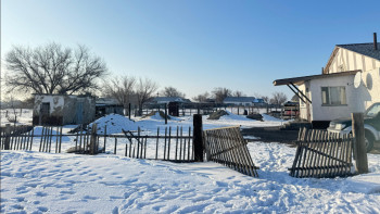 Фотография к новости: Жетісуда тұрмыстық зорлық-зомбылыққа ұшыраған 156 адам көмек алған