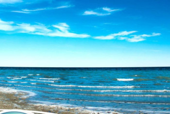 Фотография к новости: Солтүстік Арал теңізіне 1 миллиард текше метр су жіберілді