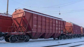 Фотография к новости: Жаңа өнімнен 4,8 млн тонна астық экспортталды