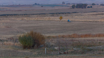 Фотография к новости: Қазақстанда егіс алқаптары кеңейтіледі