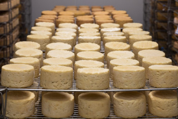 Фотография к новости: Елімізде ірімшік қанша пайызға қымбаттады