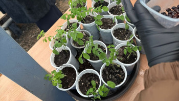 Фотография к новости: Маңғыстауда "Таза Қазақстан" бағдарламасы аясындағы іс-шаралар жалғасуда