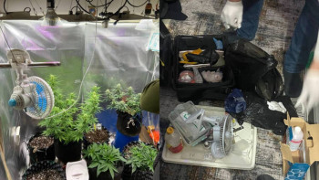 Фотография к новости: Степногорскіде фитозертхана анықталды: көрші мемлекеттің азаматы ұсталды