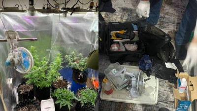 Степногорскіде фитозертхана анықталды: көрші мемлекеттің азаматы ұсталды