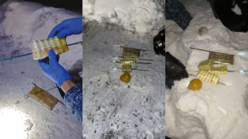 Фотография к новости: ШҚО-да колонияға тыйым салынған заттарды өткізу әрекеті тоқтатылды