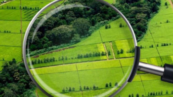 Фотография к новости: Ақмола облысында 39,3 мың га ауыл шаруашылығы жері тәркіленді