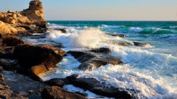 Фотография к новости: Экологтар дабыл қақты: Каспий теңізіне төтенше жағдай енгізу керек пе?