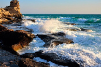 Фотография к новости: Экологтар дабыл қақты: Каспий теңізіне төтенше жағдай енгізу керек пе?