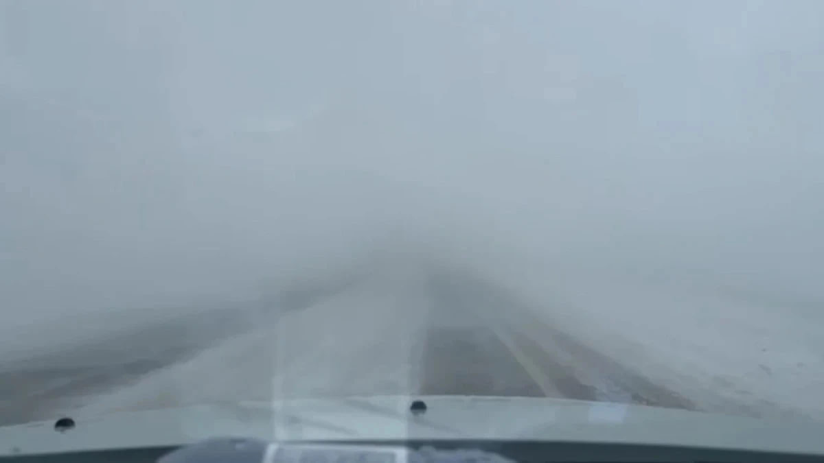  видеодан кадр