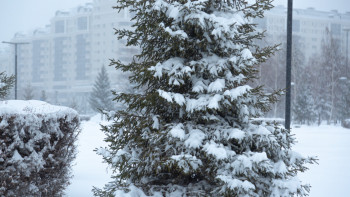 Фотография к новости: Қар, бұрқасын: Дүйсенбіге арналған ауа райы болжамы