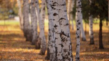 Фотография к новости: Көктемде күн райы қандай болады?