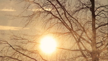 Фотография к новости: Кейбір аймақтарда күн +15 градусқа дейін жылиды