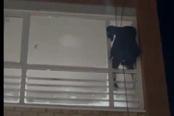 Фотография к новости: Қостанайда 3 жасар бала анасын балконға қамап қойды